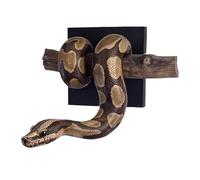Realistic Serpent 3d Sculpture, Gothic Resin Figurine, Coiled Snake Branch Wall Art, Handcrafted Reptile Statuette, Mystical Serpent Home Accent for Bedrooms Living Room Outdoor Garden Porch Apartment