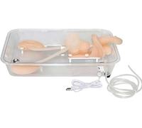 Realistic Silicone Kidney Model for Ureteroscopy Training - Ideal Healthcare applications Gift for Students and Professionals