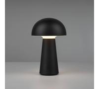 TRIO LIGHTING LENNON OUTDOOR LED STAND LAMP R52176102