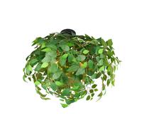 Reality Leuchten Plafón Leavy, negro/verde, Ø 70 cm, E14, 3 luces