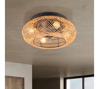 Reality Leuchten Ventilador de techo Lillesand con luz, silencioso, Ø 50 cm, control remoto True