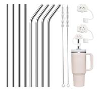 Realjoy 8 Piezas Pajitas Reutilizables, 31.5cm/12.4in Pajitas de Acero Inoxidable con 2 Cepillos de Limpieza y 2 Tapas, Pajitas Metal para Taza Stanley 40oz, Jugos, Cócteles