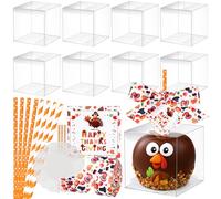 Reallnaive Juego de 24 cajas de manzanas de caramelo con agujero para Acción de Gracias, cajas de manzanas de caramelo transparente con tapete de papel, base de cinta, palitos y pajitas para