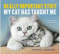 Really Important Stuff My Cat Has Taught Me