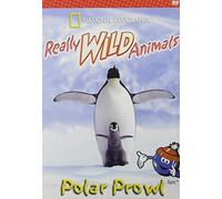 Really Wild Animals: Polar Prowl [USA] [DVD]