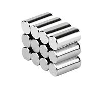 Realth Imán de neodimio Cilindro magnético Imanes pequeños permanentes Imanes de Piezas Redondos Varilla 6.35 mm * 12.5 mm para educación científica y Manualidades Paquete de 12 (MC607)