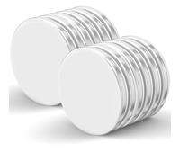 Realth Imanes Disco neodimio 20 mm x 2 mm para Nevera Oficina Ciencia Proyecto Edificio enseñanza y artesanía Paquete de 12 (MC20212MG)