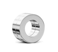 Realth MTC MC822 - Juego de 2 imanes de neodimio (24,5 mm de diámetro x 16 mm x 4,7 mm de grosor)