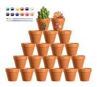 Realure 20 Piezas Maceta Terracota para Suculentas 4.5x4 cm, Macetas Pequeñas con Colores & Pinceles, Macetas Barro con Agujero de Drenaje, Macetas para Flores de Terracota, para Suculentas, Cactus