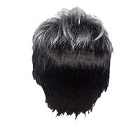 Reapyyt Peluca Recta Corta para Hombre, Peluca SintéTica Negra Gris Ombre para Cabello Masculino, Pelucas de PeluquíN Naturales Realistas, Pelucas