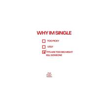 "REASONS WHY I'M SINGLE" Funny Lined Journal: Minimalist Quote Notebook