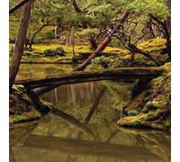 Rebecca Foon & Aliayta Foon-Da - Reverie - Vinyle 180Gr [Vinilo]