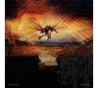 Rebecca Foon - Waxing Moon [Vinilo]