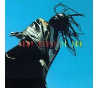 Rebel, Tony - If Jah by Rebel, Tony (1998) Audio CD
