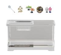 Rebellious Cisterna de pescado integrada de intercambio en caliente para rutinas ocupadas que destaca una estructura de iluminación suave para la protección de recursos en la cubierta de la casa