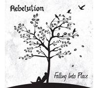 Rebelution - Falling Into Place
