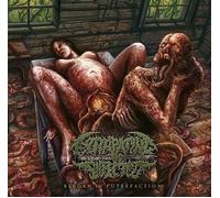 Reborn In Putrefaction by Extirpating The Infected