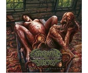 Reborn In Putrefaction by Extirpating The Infected