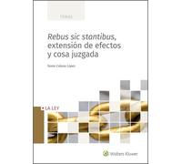Rebus Sic Stantibus, Extensión De efectos y Cosa Juzgada (Temas)