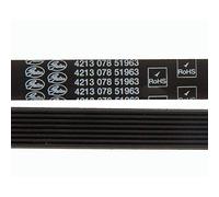 Recamania Correa ranurada Secadora Balay SC847B 3SC847A/01 173373