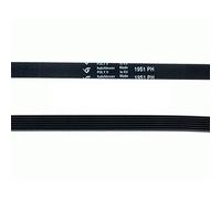 Recamania Correa Secadora 1951 PH