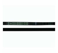 Recamania Correa Secadora 7PH 1992 900 858 513 00753220 481935828002 C00375170