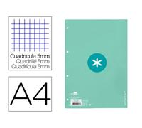 Recambio liderpapel a4 antartik 80 hojas 90g/m2 cuadro 5 mm 4 taladros 1 banda marco color menta