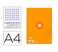 Recambio liderpapel a4 antartik 80 hojas 90g/m2 cuadro 5 mm 4 taladros 1 banda marco color mostaza