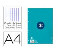 Recambio liderpapel a4 antartik 80 hojas 90g/m2 cuadro 5mm 4 taladros 1 banda con marco color turquesa