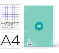 Recambio Pegado Cuadrado 5mm Din A4 100 F 90 Gr 4 Agujeros 1 Banda Marco Color Menta - ANTARTIK