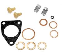 Recambo Kit de reparación de bomba de suministro de combustible Bosch FP-K 22 P26 Número de referencia 2447010004 - Reduce fugas - Juntas resistentes al combustible - Ajuste preciso según referencia