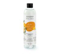 Recarga Ambre Y Baumes Para Bouquet 250ML Esteban