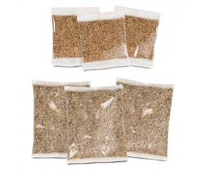 Recarga de semillas de hierba gatera para gatos - Kit de hierba Senses 2.0 - Catit