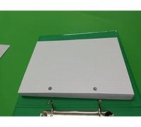 Recarga para 100 hojas (200 páginas) - 2 agujeros - A5 14,5 x 20,5 cm. Puntos 5 mm. Dotted Bullet Journal - DIN A5 2-holes - para carpeta con 2 anillas