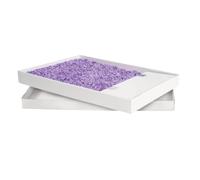 Recarga PetSafe ScoopFree para Bandeja de Arena de Cristal, Aroma Lavanda, Bandeja desechable con protección contra Fugas, Reduce el Rastro y Absorbe olores, 1 Bandeja