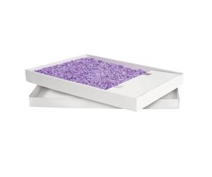Recarga PetSafe ScoopFree para Bandeja de Arena de Cristal, Aroma Lavanda, Bandeja desechable con protección contra Fugas, Reduce el Rastro y Absorbe olores, 1 Bandeja
