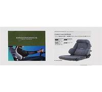 Recaro RC058202S08 AM19 Style Topline Artista Asiento de Conductor