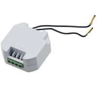 Receptor de radio WS para Pilota Casa 4250416323552