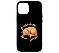 Recharging Sleeping Cat Do Not Disturb Carcasa para iPhone 12/12 Pro