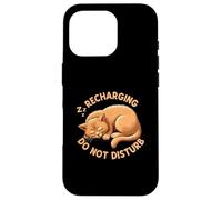 Recharging Sleeping Cat Do Not Disturb Carcasa para iPhone 16 Pro