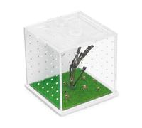 Recinto acrílico de araña saltadora, terrario transparente para reptiles de 2.95 x 2.95 x 2.87 pulgadas, recinto de tarántula versátil para pequeños reptiles/insectos, pequeño tanque de reptiles con