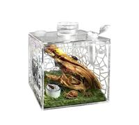 Recinto De Araña | Acrílica Transparente para Cría De Mascotas, Terrario para Araña Saltarina, para Caracol, Mantis, Lagarto, Animal PEQUEÑO, Mantis Religiosa, Hogar, Interior