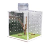 Recinto de araña que salta, Jaula de araña,Jaula de tanque transparente para rana - Caja de cría con humidificador ligero, bañera para reptiles para pequeños reptiles que viven en los amaneceres