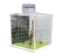 Recinto de araña que salta, Jaula para araña,armado con tarántula - hábitat para mantis religiosa, de alimentación del terrario para caracoles con humidificador ligero para arañas y otros