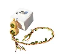 Recinto de arañas saltarinas Terrarios acrílicos Ventilación de hábitat Tanques de arañas para tarántulas Caracoles Reptiles Arañas saltadoras Recinto de arañas ventiladas de acrílico Caja de arañas