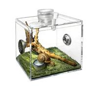 Recinto para araña saltadora, Hábitat de Cría para Mascotas en Acrílico, para Arañas, Hogar para Caracoles, Mantis, Lagartos, Pequeños Animales e Insectos