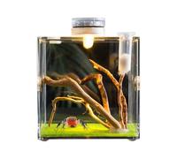 Recinto para arañas de Saltar - Terrario | Vivarios, de cría de Insectos pequeña, Jaula de Reptiles de 360 Grados, Mini portadores de Anfibios acrílicos, fácil de Montar y Alimentar, Vidrio