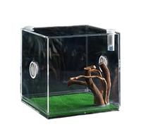 Recinto Para Arañas Saltarinas: Hábitat Acrílico Transparente, Mini Cría De Insectos, De Contenedor De Observación Ventilado | Vivienda De Visibilidad Integral Para Almacenamiento De Exhibició