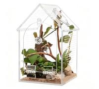 Recinto Para Arañas Saltarinas: Tanque De Aislamiento De Hábitat Acrílico A Prueba De Escapes, Hábitat De Arañas Saltarinas, Carcasa Duradera Para Mascotas Pequeñas | Espacio De Vida Protector, Para A