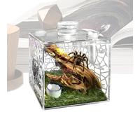 Recinto pequeño para reptil | Jaula de acrílico transparente para cría de animales domésticos, Terrario para caracol - para lagarto, animales pequeños, casa con manta, interior salón